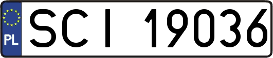 SCI19036