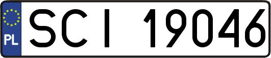 SCI19046