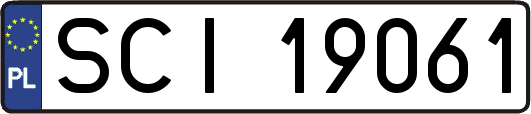 SCI19061