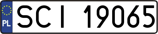 SCI19065