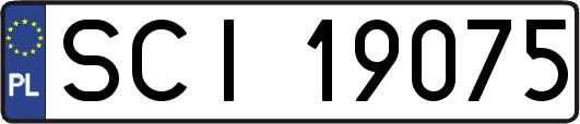 SCI19075