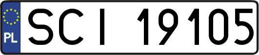 SCI19105