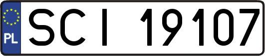 SCI19107