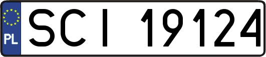 SCI19124