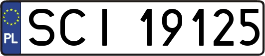 SCI19125
