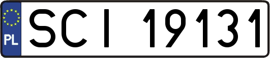 SCI19131