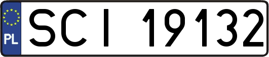 SCI19132