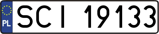 SCI19133