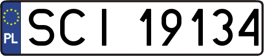 SCI19134