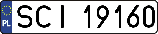 SCI19160