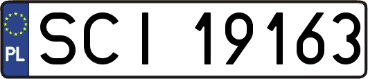 SCI19163