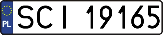 SCI19165