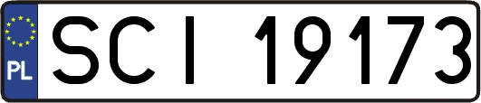 SCI19173