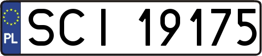SCI19175