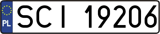 SCI19206