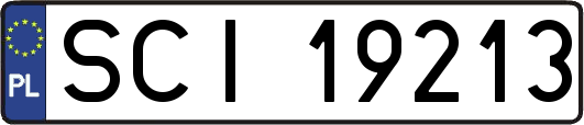 SCI19213