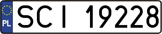 SCI19228