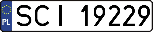 SCI19229