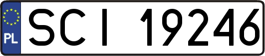 SCI19246