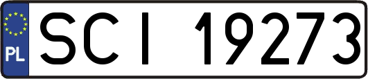 SCI19273