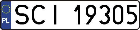 SCI19305
