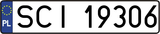 SCI19306