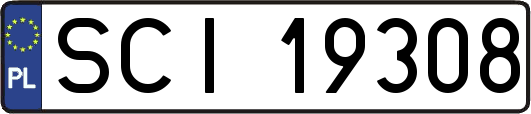 SCI19308