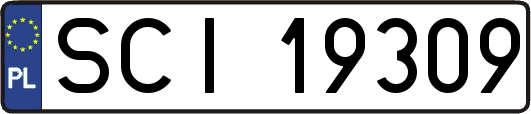 SCI19309