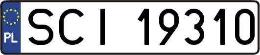 SCI19310