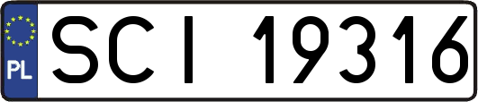 SCI19316