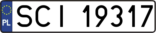 SCI19317