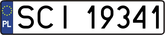 SCI19341