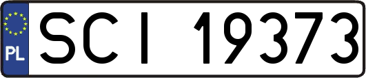 SCI19373