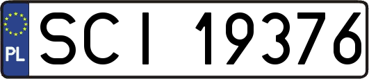 SCI19376