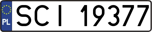SCI19377