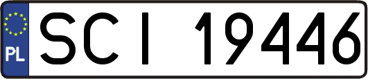 SCI19446