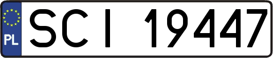 SCI19447