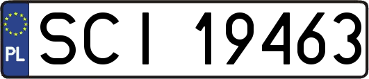SCI19463