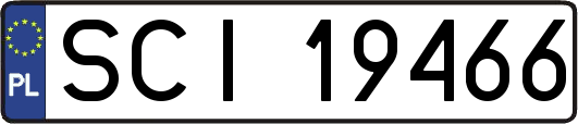 SCI19466