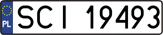 SCI19493