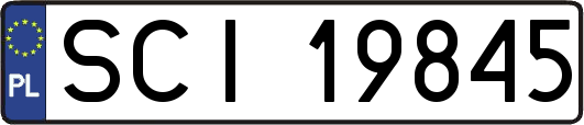 SCI19845