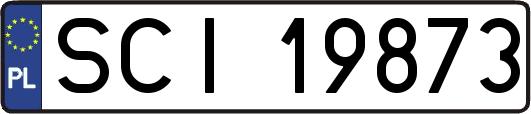 SCI19873