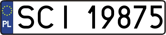 SCI19875