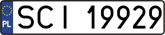 SCI19929