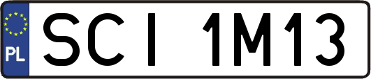 SCI1M13