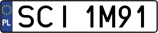 SCI1M91