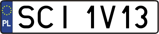 SCI1V13