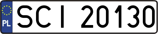 SCI20130