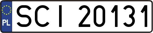 SCI20131