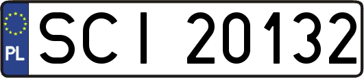 SCI20132